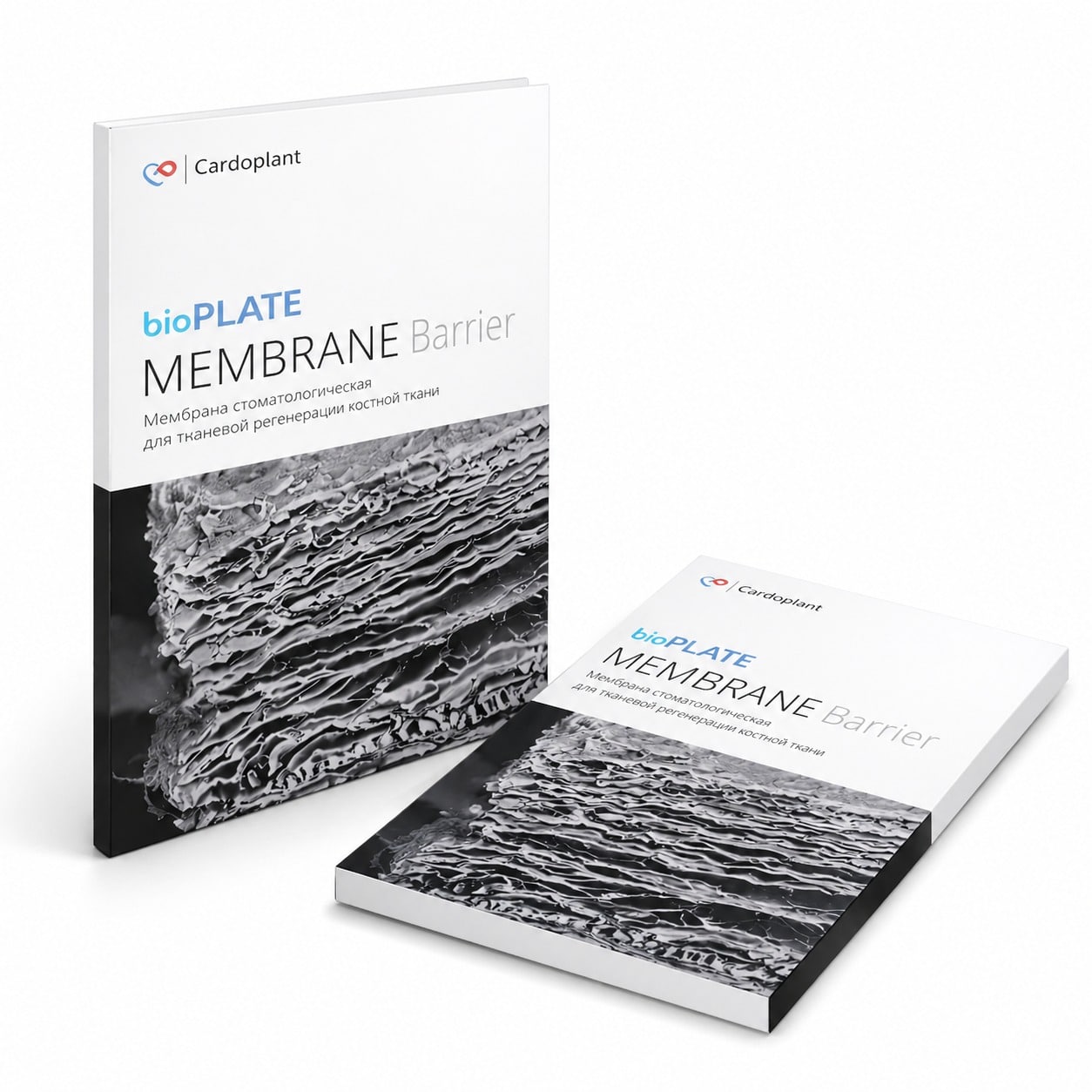 BioPlate-Membrane-Barrier-–-Premium-Doku-Rejenerasyon-Membrani-1-adet.jpeg BioPlate Membrane Barrier – Premium Doku Rejenerasyon Membranı 1 adet ürün görseli