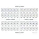 Kids Crown PÇK Molar Set 48'lik ürün görseli