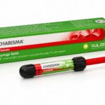 Kulzer Charisma Classic Kompozit Tek Tüp 4 g ürün görseli